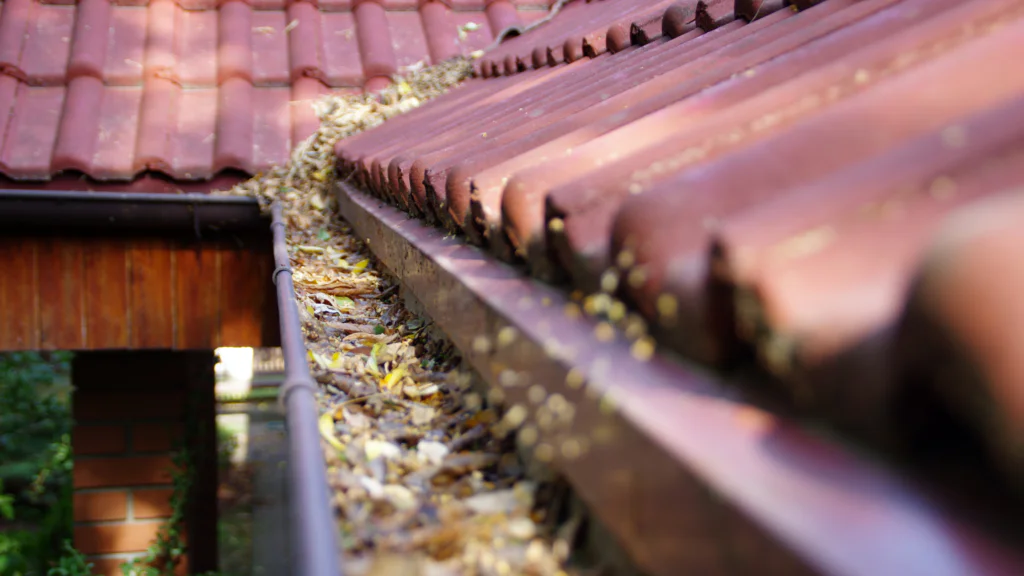 Tips for preventing clogs.