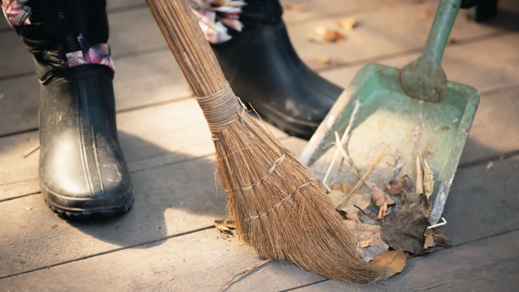 Remove the mold by sweeping it off with a broom or a leaf blower