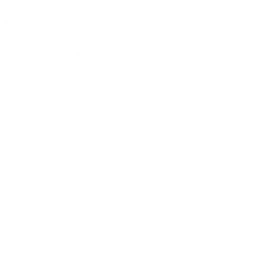 Roof clean-up and maintenance